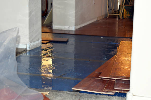 Professional Emergency Water Damage Restoration technician working in Kempner, TX